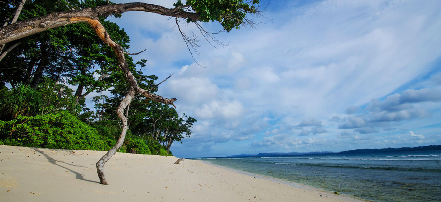 Andaman Beaches