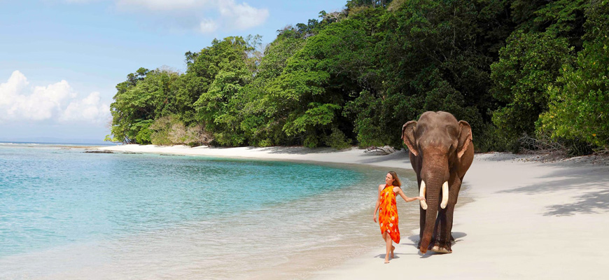 Andaman Group Pleasure