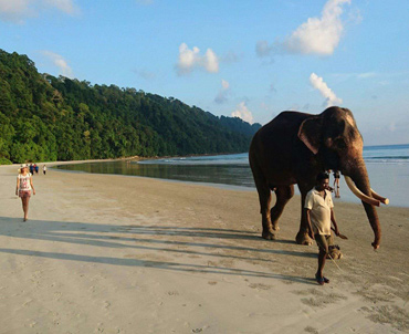 Andaman Honeymoon Pleasure